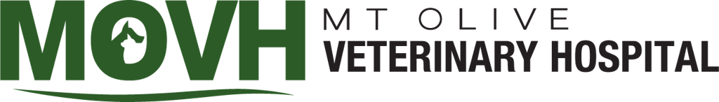 mt olive veterinary hospital