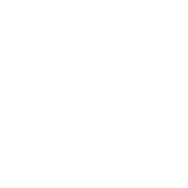 Pet Online Food Store